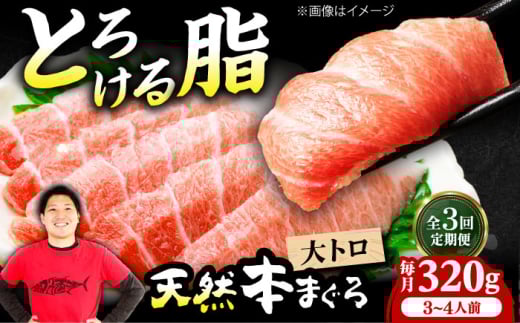 [全3回定期便]極上!たね熟天然本まぐろ大トロ(320g) 天然 マグロ 鮪 大トロ 刺身 魚 魚介 魚介類 海鮮丼 本マグロ 本まぐろ 本鮪 赤身 大トロ 冷凍 お刺身 お寿司 大阪府高槻市/本まぐろ直売所 [AOCE022]