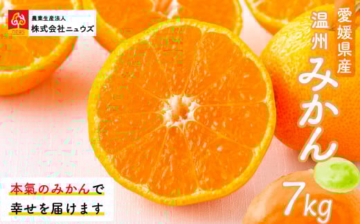 【先行予約】産地直送！愛媛県産温州みかん 7kg（2025年11月上旬より順次発送） 【 ふるさと納税 人気 おすすめ ランキング みかん ミカン 蜜柑 温州みかん 温州ミカン フルーツ 果物 産地直送 ニュウズ 愛媛県産 愛媛県 伊方町 送料無料 】 IKTF023 2139726 - 愛媛県伊方町