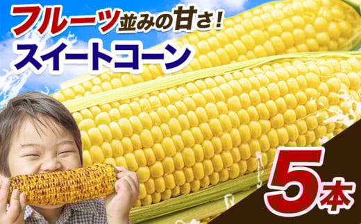 とうもろこし 極甘 スイートコーン ゴールドラッシュ 恵味 5本《7月中旬-8月上旬頃出荷予定》熊本県 産山村 野菜 夏野菜 コーン トウモロコシ 一番果 冷蔵 先行予約