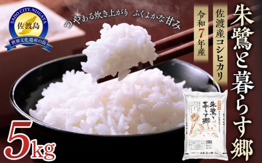 米 朱鷺と暮らす郷 佐渡産 コシヒカリ ( 5kg ) 【令和7年産】 830493 - 新潟県佐渡市