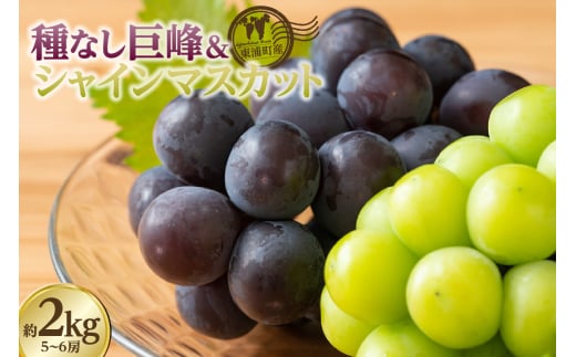 【先行予約】東浦町産 種なし巨峰＆シャインマスカット詰め合わせ　約2kg（5～6房）
