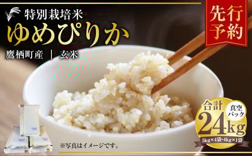 【令和7年産】 ゆめぴりか （玄米） 真空パック 24kg 北海道 鷹栖町 たかすタロファーム 米 コメ こめ ご飯 玄米 お米 ゆめぴりか コメ 玄米 【2025年9月下旬より発送開始】 682527 - 北海道鷹栖町