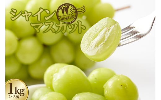 【先行予約】東浦町産シャインマスカット 1kg（2～3房）
