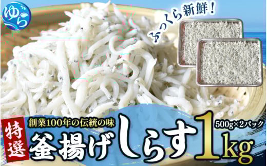 ＼レビューキャンペーン中／  特選 釜揚げしらす（500ｇパック入り×2つ）シラス しらす丼 国産 冷蔵 個包装 魚 お魚 さかな 食品 和歌山県 由良町 16000円 スピード配送 プレミア和歌山 プレミア 釜揚げ 【uoms001】 483031 - 和歌山県由良町
