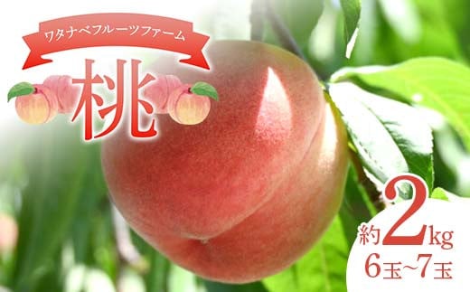 ワタナベフルーツファームの桃 約2kg （6玉～7玉） もも モモ フルーツ 果物 F6Q-337
