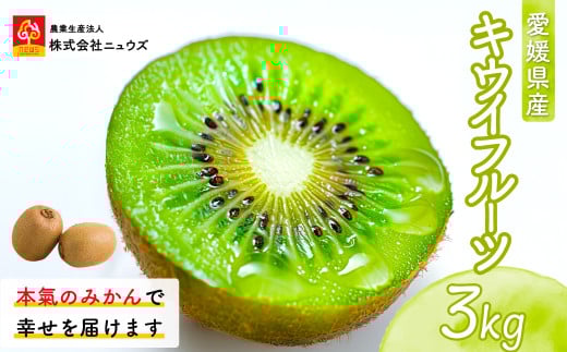 【先行予約】キウイフルーツ（生果）3kg（2025年11月上旬より順次発送） 【 ふるさと納税 人気 おすすめ ランキング キウイ キウイフルーツ フルーツ 果物 産地直送 ニュウズ 愛媛県産 愛媛県 伊方町 送料無料 】 IKTF024 2139727 - 愛媛県伊方町