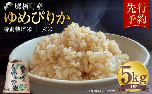【令和7年産】 ゆめぴりか （玄米） 5kg  北海道 鷹栖町 たかすタロファーム 米 コメ こめ ご飯 玄米 お米 ゆめぴりか コメ 玄米 【2025年9月下旬より発送開始】 974456 - 北海道鷹栖町