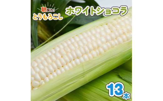 朝採れとうもろこし ホワイトショコラ 13本入｜トウモロコシ スイートコーン 野菜 [0389ch]