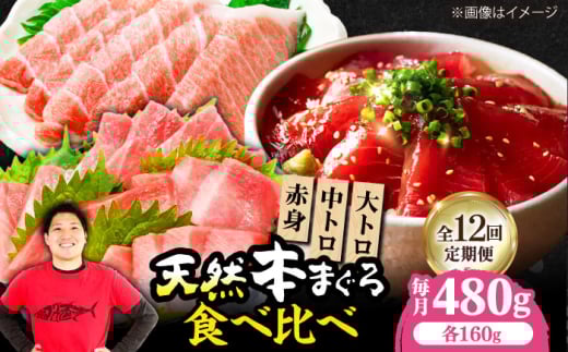 【全12回定期便】極上！たね熟天然本まぐろ赤身＆中トロ＆大トロセット(各160g 計480g)　大阪府高槻市/本まぐろ直売所 [AOCE045]
