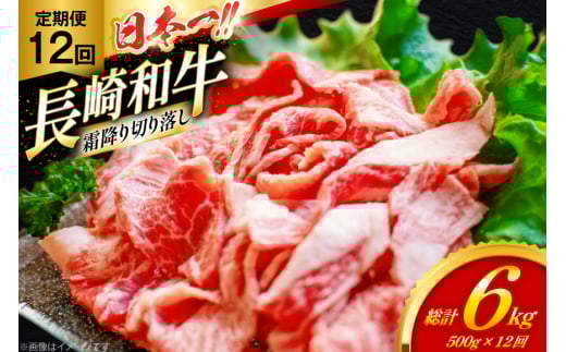 和牛 切り落とし 霜降り肉 定期便 長崎和牛 切り落し 500g 12回 総計6kg [大川ストアー 長崎県 東彼杵町 hs42bag580074] 赤身 すき焼き 肉 しゃぶしゃぶ 牛肉 2146225 - 長崎県東彼杵町
