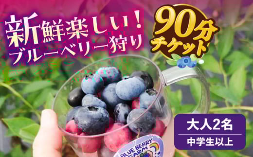 ブルーベリーファーム瑞浪 ブルーベリー狩り 90分 大人(中学生以上) 2名様分 チケット [AZCX001]