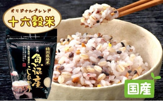 【令和7年産新米予約】極上南魚沼産コシヒカリと国産十六雑穀米のセット　8ｋｇ+900ｇ【2025年9月中旬より順次発送予定】 499444 - 新潟県南魚沼市