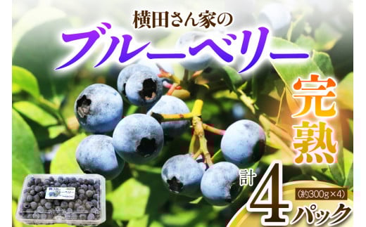 横田さん家の完熟ブルーベリー 4パック (約300g×4)｜果物 くだもの フルーツ スイーツ 旬ジャム ヨーグルト [1606] 697325 - 茨城県稲敷市