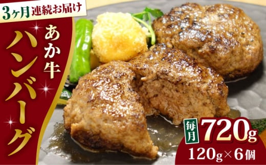【全3回定期便】あか牛 100％ハンバーグ セット 120g×6個【有限会社 三協畜産】 [YCG179] 2139666 - 熊本県山都町