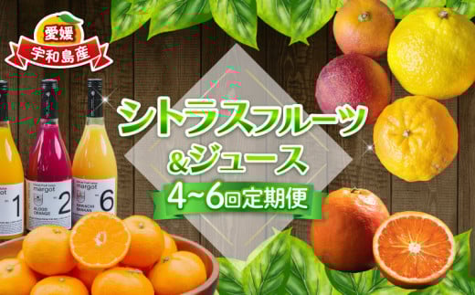 シトラス フルーツ & ジュース 選べる 回数 4回 ~ 6回 定期便 コルレオファーム 極早生 宮川早生 南柑20号 ブラッドオレンジ モロ 甘平 はるか ポンカン タロッコ せとか 清見 不知火 シトラスジュース 720ml ✕ 3本 詰め合わせ 愛媛ミカン 愛媛みかん みかん 柑橘 蜜柑 温州 果物 くだもの 産地直送 数量限定 先行予約 国産 愛媛 宇和島