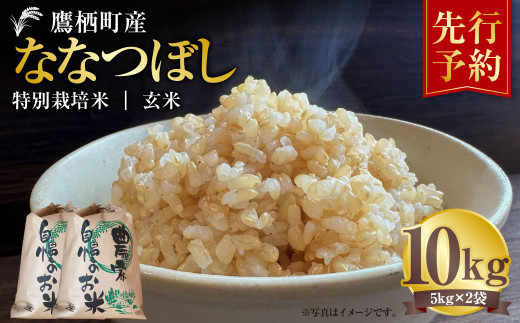 【令和7年産】 ななつぼし （玄米） 5kg×2袋 米 お米 玄米ごはん 玄米 北海道 鷹栖町 【2025年9月下旬より発送開始】 2138264 - 北海道鷹栖町