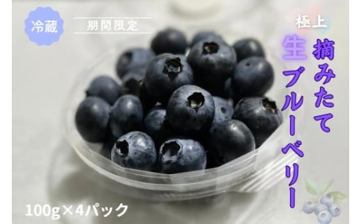 1B45極上摘みたてブルーベリー　100g×4パック【期間限定】