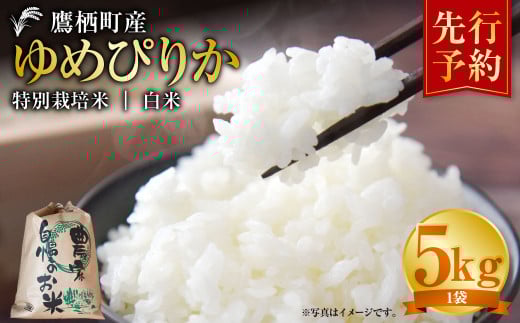  【令和7年産】 ゆめぴりか （白米）  5kg 北海道 鷹栖町 たかすタロファーム 米 コメ こめ ご飯 白米 お米 ゆめぴりか コメ 【2025年9月下旬より発送開始】 682234 - 北海道鷹栖町
