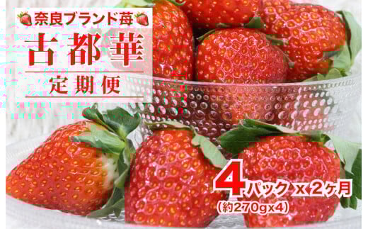 【2026年発送先行予約】【定期便 全２回】苺 古都華(ことか) いちご 奈良 270gx4パック 計1080g ２ヶ月連続 ブランドいちご かたおかの苺 いちご 苺 奈良ブランド苺 イチゴ ブランド 古都華 大粒 苺 旬 産地 直送 フレッシュ イチゴ フルーツ 果物 国産 ベリー 贈答用 プレゼント 人気苺 ふるさと納税苺 ふるさと苺 furusato苺 おすすめ苺