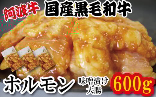 ホルモン 大腸 阿波牛 味噌漬け 200g×3パック 小分け 計600g  国産 牛 黒毛和牛 鍋 焼肉 脂 焼き シマチョウ もつ 肉 牛肉 BBQ 【北海道・東北・沖縄・離島への配送不可】