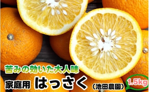 はっさく 1.5kg+250g（痛み補償分） 家庭用 光センサー / 八朔 訳あり 甘い 和歌山 有田 柑橘 ※1月上旬〜4月上旬頃に順次発送予定 ※北海道・沖縄・離島への配送不可 【ikd021-c-1d5】 2139944 - 和歌山県広川町