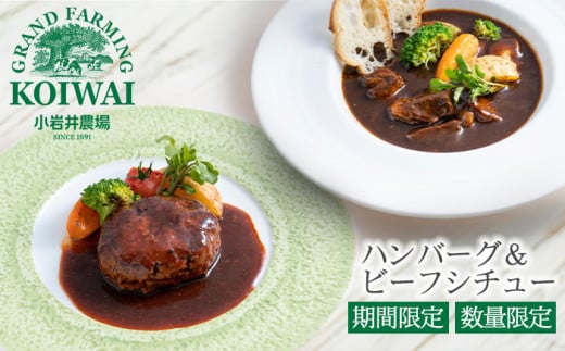 小岩井農場 ハンバーグ & ビーフシチュー セット ／ デミグラス 洋風総菜 洋風惣菜 総菜 惣菜 冷食 冷凍食品 ディナー ホームパーティ ホームパーティー パーティ パーティー オードブル 肉料理 肉 牛肉 ビーフ シチュー おかず おつまみ 時短調理 電子レンジ 簡単調理 おすすめ 512234 - 岩手県雫石町