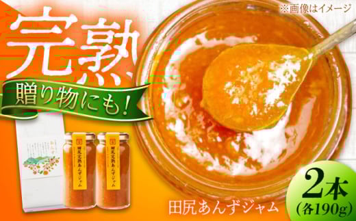 ジャム 田尻完熟あんずジャム (2本) ジャム 果物 あんず パン 甘い 菓子 朝ごはん 広島県福山市/有限会社勉強堂 [BAFL011]