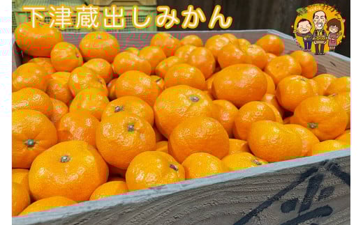 下津蔵出しみかん 約5kg S～Lサイズいずれか 山下農園