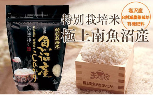【令和7年産新米予約】【定期便】特別栽培米「極上南魚沼産コシヒカリ」（有機肥料、8割減農薬栽培）精米8ｋｇ×全3回【2025年9月中旬より順次発送予定】 441232 - 新潟県南魚沼市
