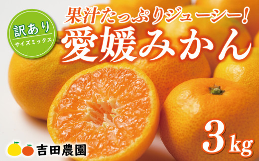 先行予約 訳あり 愛媛みかん 3kg 7000円 愛媛 みかん 温州みかん こたつ みかん mikan 蜜柑 ミカン 家庭用 産地直送 国産 農家直送 糖度 期間限定 数量限定 特産品 ゼリー ジュース アイス 人気 限定 甘い フルーツ 果物 柑橘 先行 事前 予約 受付 ビタミン 美味しい おいしい サイズ ミックス 吉田農園 愛南町 愛媛県