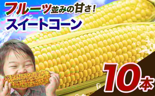 とうもろこし 極甘 スイートコーン ゴールドラッシュ 恵味 10本《7月中旬-8月上旬頃出荷予定》熊本県 産山村 野菜 夏野菜 コーン トウモロコシ 一番果 冷蔵 先行予約