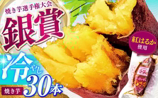 紅はるか 冷やし焼き芋 30本 / 焼き芋 やきいも 焼きいも 焼いも 焼芋 さつまいも 紅はるか ねっとり しっとり 甘い おやつ 芋 スイーツ / 亀山市 / 芋笑 [AMBU007]