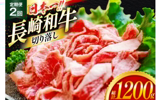 牛肉 切り落とし 定期便 長崎和牛 切り落し600g 2回 総計1200g [大川ストアー 長崎県 東彼杵町 hs42bag580011] 肉 牛肉 和牛 焼肉 2146217 - 長崎県東彼杵町