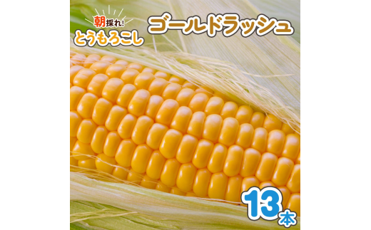 朝採れとうもろこし ゴールドラッシュ 13本入｜トウモロコシ スイートコーン 野菜 [0388ch] 340868 - 千葉県袖ケ浦市