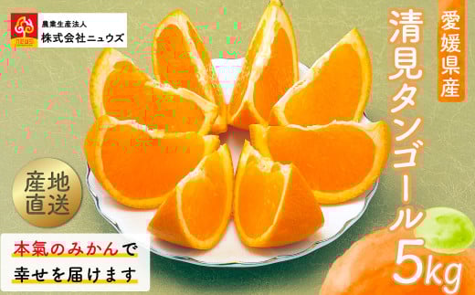 【先行予約】産地直送！愛媛県産清見タンゴール 5kg（2026年3月上旬より順次発送） 【 ふるさと納税 人気 おすすめ ランキング みかん ミカン 蜜柑 清見タンゴール フルーツ 果物 産地直送 ニュウズ 愛媛県産 愛媛県 伊方町 送料無料 】 IKTF022 2139725 - 愛媛県伊方町