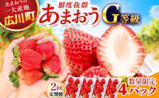 【2回定期便】 あまおうG等級 2ケース（270g×4パック） 広川町 / JAふくおか八女農産物直売所どろや [AFAB084]