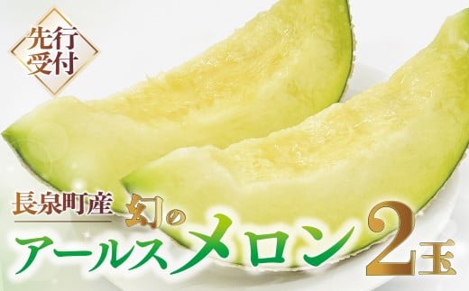 【先行予約】アールスメロン  2玉  1.4kg以上 ×2玉 数量限定 幻のメロン 長泉 メロン フルーツ めろん 果物 スイーツ 予約受付 7月から順次発送 お中元 ギフト 贈答用 プレゼント 取り寄せ 果汁 静岡県 長泉町
