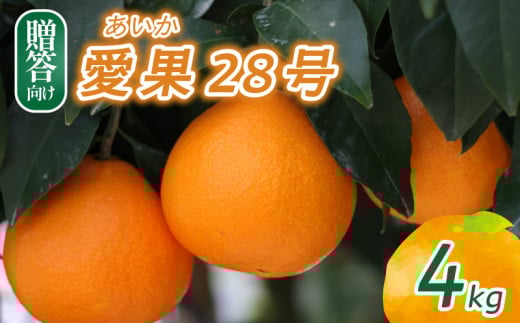 【2025年12月頃から発送】 愛果28号 贈答用 4kg