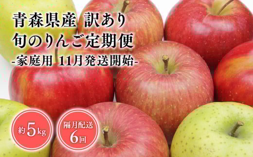 【11月発送開始】隔月配送　定期便６回　訳あり　家庭用　甚八りんご　５kg　【青森県 平川市 マルジンサンアップル】1月 3月 5月 7月 9月 11月 青森 青森県産 平川 りんご リンゴ 林檎 くだもの 果物 フルーツ 