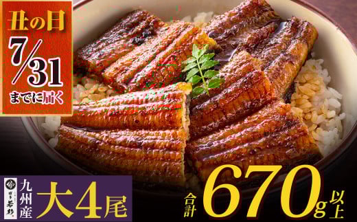 U61-73-03R02 【7/31までにお届け】  国産うなぎ蒲焼大サイズ4尾（計670g以上）鰻蒲焼用タレ・山椒付 うなぎ 生産量日本一鹿児島県産うなぎ 宮崎県産うなぎ 熊本県産うなぎ 九州産 うなぎ 鰻 人気 おすすめ 鰻 ウナギ うなぎ 国産 冷凍 蒲焼 うな重 ひつまぶし 土用 丑の日 2139428 - 福岡県福智町