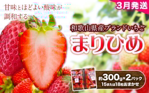 【2026年3月頃発送予定】和歌山県産ブランド いちご「まりひめ」約300g×2パック (15または18粒おまかせ) 日高川町厳選館《3月上旬-3月末頃出荷予定》和歌山県 日高川町 送料無料 苺 鞠姫 マリヒメ フルーツ 果物 お取り寄せ 【配送不可地域あり】