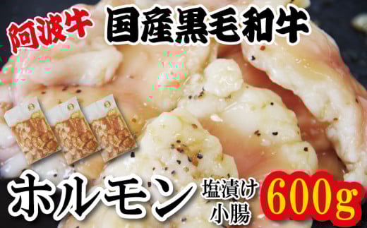 ホルモン 小腸 阿波牛 塩漬け 200g×3パック 小分け 計600g  国産 牛 黒毛和牛 鍋 焼肉 脂 焼き ホソ もつ 肉 牛肉 BBQ 【北海道・東北・沖縄・離島への配送不可】