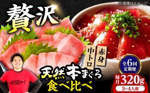 【全6回定期便】極上！たね熟天然本まぐろ赤身＆中トロセット(320g 各160g) 天然 マグロ 鮪 中トロ 刺身 魚 赤身 大阪府高槻市/本まぐろ直売所 [AOCE041]
