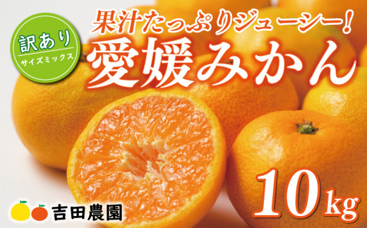先行予約 訳あり 愛媛みかん 10kg 18000円 愛媛 みかん 温州みかん こたつ みかん mikan 蜜柑 ミカン 家庭用 産地直送 国産 農家直送 糖度 期間限定 数量限定 特産品 ゼリー ジュース アイス 人気 限定 甘い フルーツ 果物 柑橘 先行 事前 予約 受付 ビタミン 美味しい おいしい サイズ ミックス 吉田農園 愛南町 愛媛県