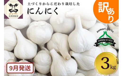 【先行受付】【9月発送】　訳あり 青森県産 にんにく3kg（1kg×3）