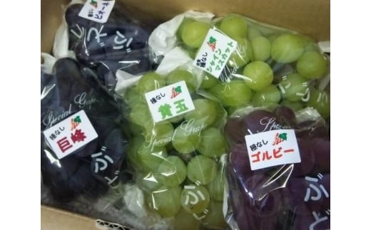 完熟シャインマスカット入り種無しぶどう詰め合わせ 2kg 2139502 - 愛知県大府市