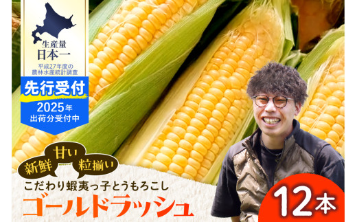 【2025年先行受付】朝採りをお届け！ 北海道十勝芽室町　蝦夷っ子とうもろこし ゴールドラッシュ 12本 me076-009c-25 2088150 - 北海道芽室町