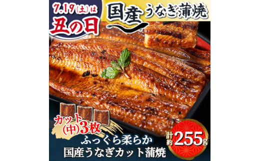 浜名湖・うなぎのたなかのふっくら柔らか♪国