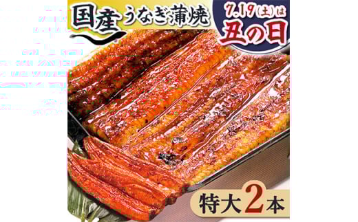 浜名湖・うなぎのたなかの長蒲焼2本セット!