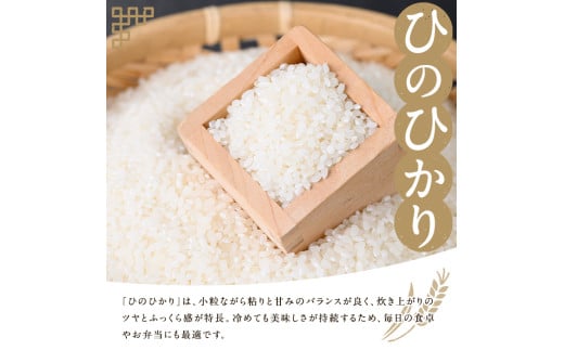 鹿児島県さつま町のふるさと納税 s679 ＜定期便・全3回(連続月)＞《令和6年産》薩摩のさつま(計15kg・5kg×3回) 鹿児島 国産 九州産 お米 こめ コメ 米 白米 精米 ヒノヒカリ ひのひかり ごはん ご飯 ライス 定期便 連続月 毎月 【JA北さつま】